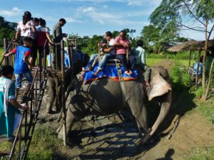 "Final call for Passengers boarding elephant ride number 203, gate B2..."